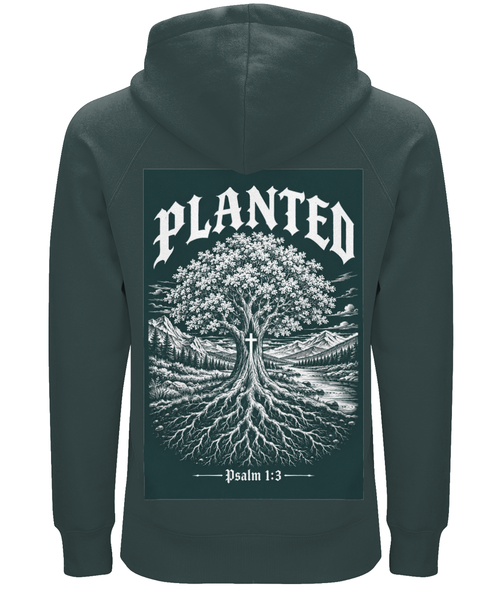Back Side
